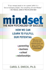 cover for mindset